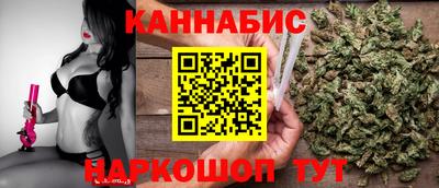 спиды Дубна