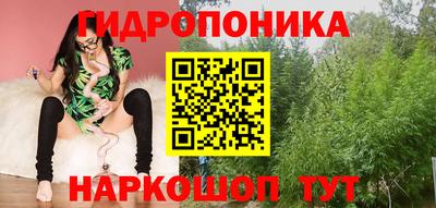 спиды Дубна