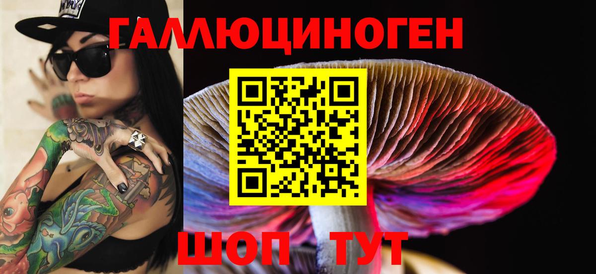 Псилоцибиновые грибы Psilocybine cubensis  Вход с VPN  где найти наркотики  Малгобек 